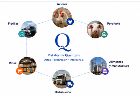 Avícola, porcícola, alimentos y manufactura, distribución, retail y flotillas conectados por Quantum