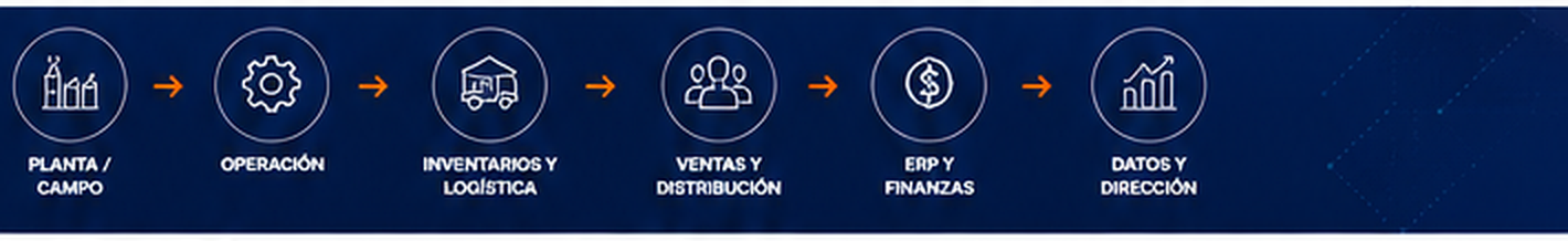 Del proceso operativo a la decisión empresarial: planta y campo, operación, inventarios y logística, ventas y distribución, ERP y finanzas, datos y dirección